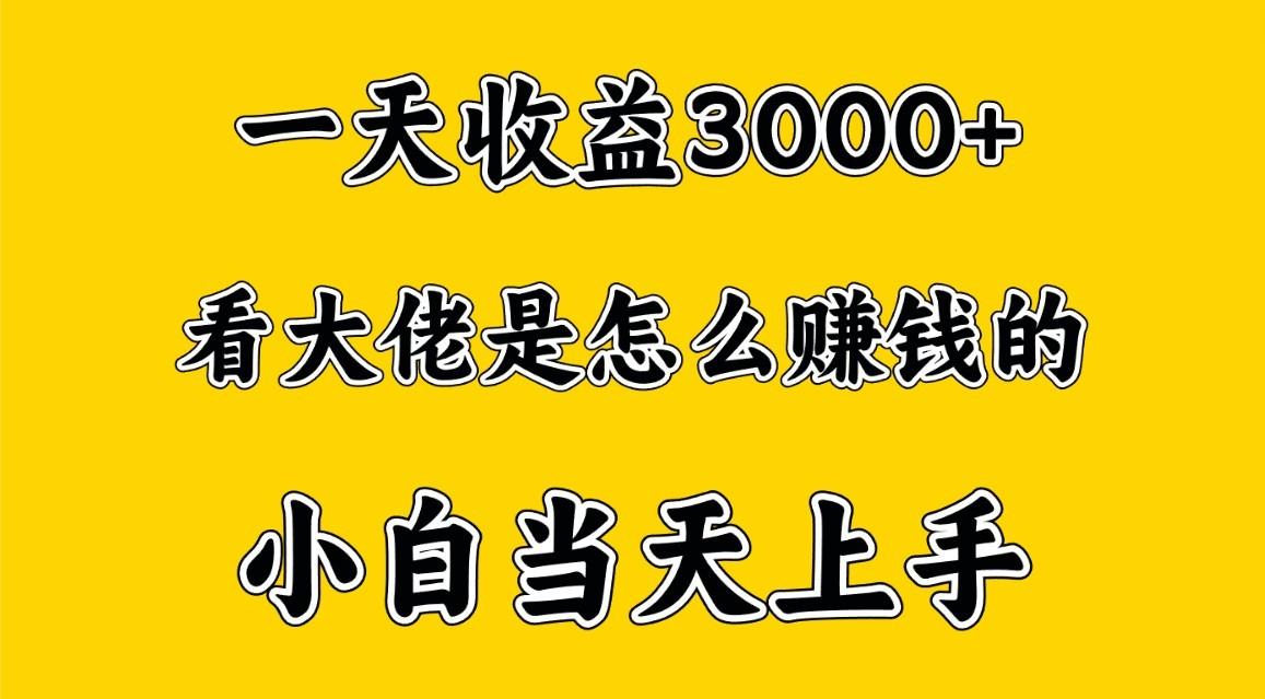 一天赚3000多，大佬是这样赚到钱的，小白当天上手，穷人翻身项目-云泽轻创网