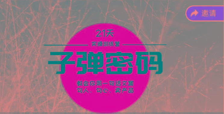 《子弹密码训练营》-用一句话文案勾人勾心卖产品，21天学到顶尖文案大师策略和技巧-云泽轻创网