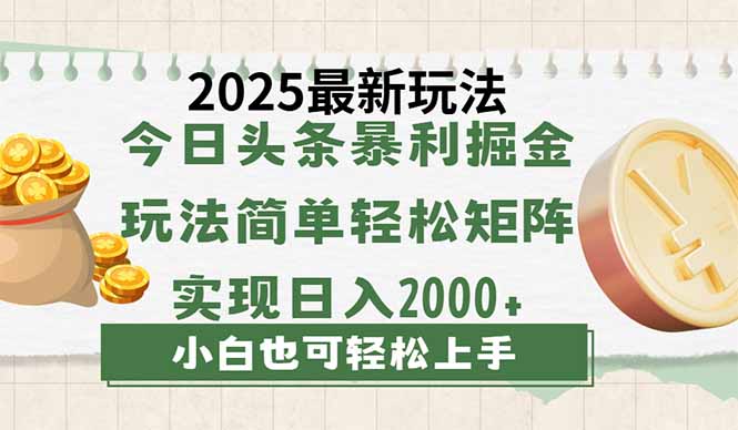 今日头条2025最新玩法，思路简单，复制粘贴，轻松实现矩阵日入2000+-云泽轻创网