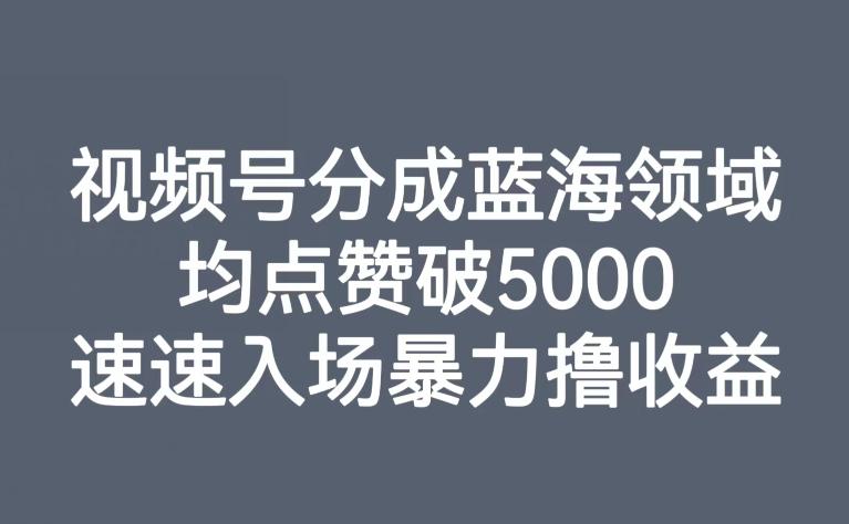 视频号分成蓝海领域，均点赞破5000，速速入场暴力撸收益-云泽轻创网