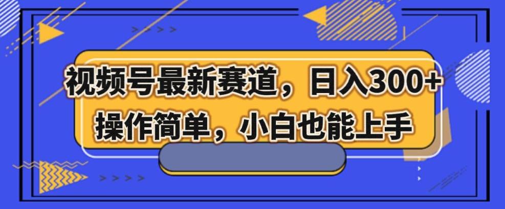 视频号最新赛道，日入300+，新手小白轻松掌握-云泽轻创网