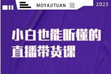 大威本威·能听懂的直播带货课，小白也能听懂，20节完整-云泽轻创网