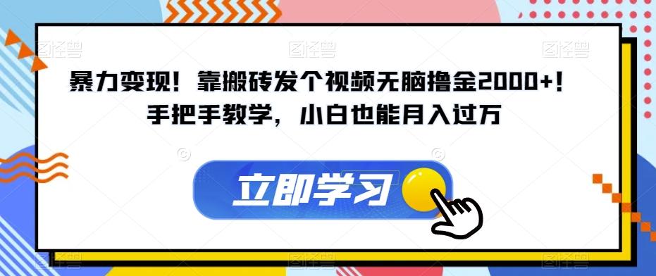 暴力变现！靠搬砖发个视频无脑撸金2000+！手把手教学，小白也能月入过万【揭秘】-云泽轻创网
