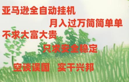亚马逊全自动浏览挂机，，收益稳定且前景广阔-云泽轻创网