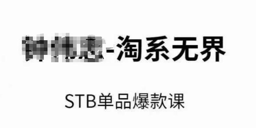 淘系无界STB单品爆款课(2024)，付费带动免费的核心逻辑，万相台无界关键词推广/精准人群的核心-云泽轻创网