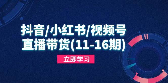 抖音/小红书/视频号/直播带货(11-16期-云泽轻创网