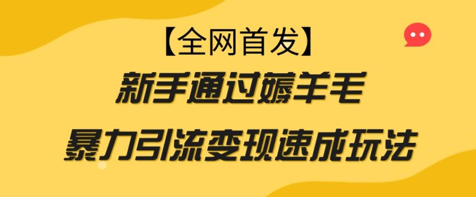 【全网首发】新手通过薅羊毛暴力引流变现速成玩法-云泽轻创网