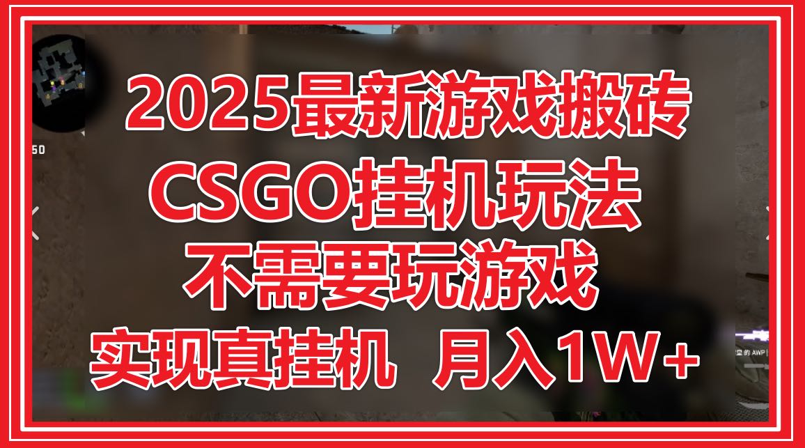 2025最新游戏搬砖，CSGO挂机，不需要玩游戏，实现真挂机，月入1W+-云泽轻创网