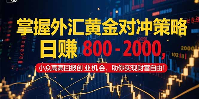 掌握外汇黄金对冲策略，日赚 800 - 2000，小众高回报创业机会，助你实...-云泽轻创网