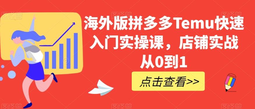 海外版拼多多Temu快速入门实操课，店铺实战从0到1-云泽轻创网