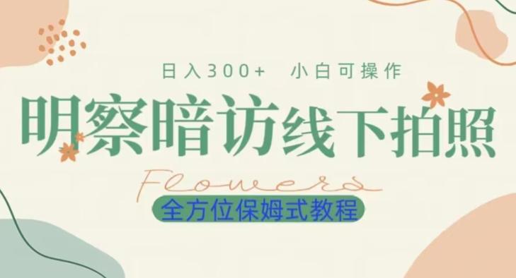 明拍暗拍项目0成本投入日入300+小白可操作保姆式全方位教程-云泽轻创网