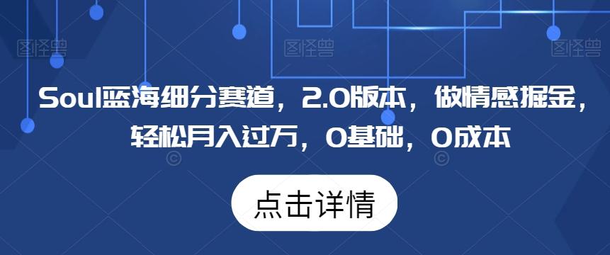 Soul蓝海细分赛道，2.0版本，做情感掘金，轻松月入过万，0基础，0成本-云泽轻创网