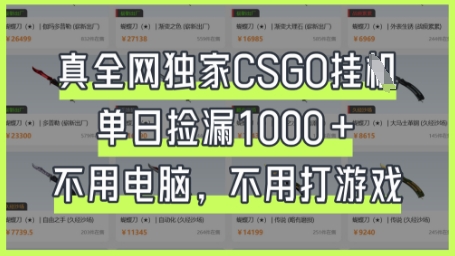 真全网独家CSGO挂G，单日捡漏1k+【揭秘】-云泽轻创网