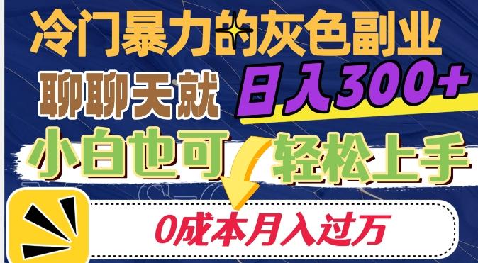 冷门暴利的副业项目，聊聊天就能日入300+，0成本月入过万【揭秘】-云泽轻创网