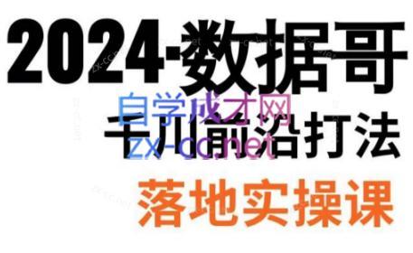 数据哥·2024年千川前沿打法落地实操课-云泽轻创网