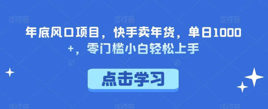 年底风口项目，快手卖年货，单日1000+，零门槛小白轻松上手-云泽轻创网