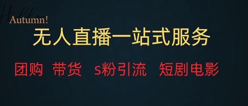 无人直播一站式服务（教程以及变现方式）-云泽轻创网