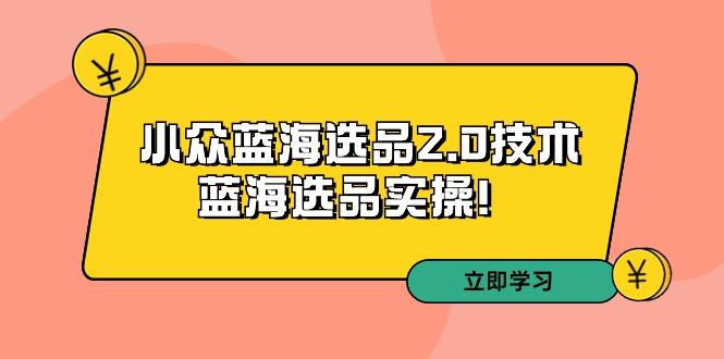 拼多多培训第33期：小众蓝海选品2.0技术-蓝海选品实操！-云泽轻创网