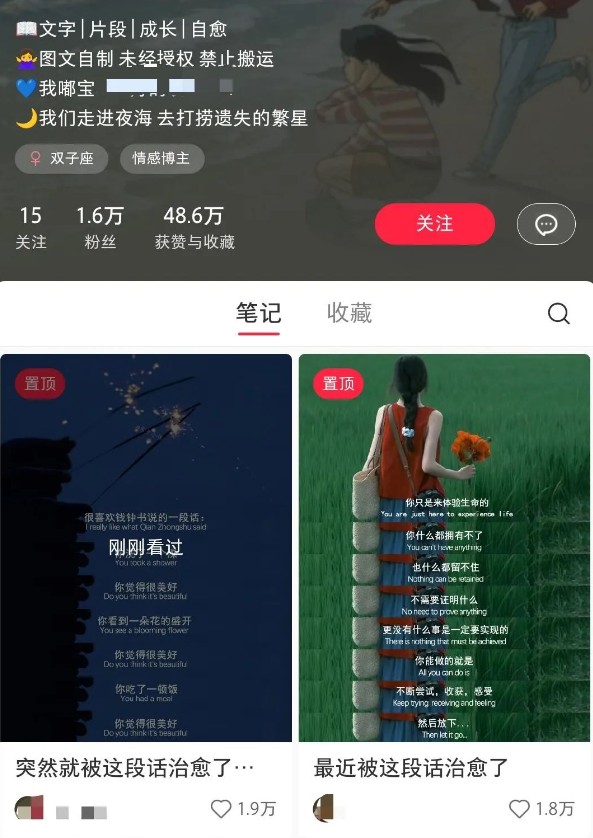 小红书治愈文案图文笔记,零门槛,一分钟制作轻松制作爆款作品月入万元-云泽轻创网