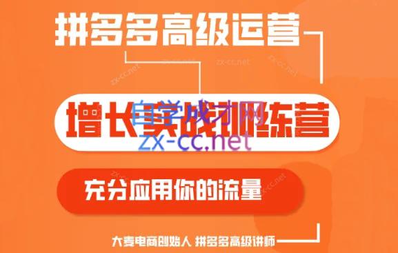 大麦老师·拼多多单品爆款打造课程(更新6月)-云泽轻创网