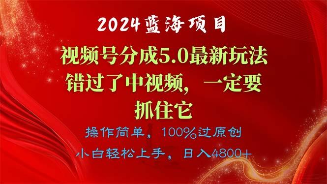 2024蓝海项目，视频号分成计划5.0最新玩法，错过了中视频，一定要抓住…-云泽轻创网