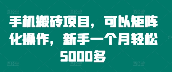 手机搬砖项目，可以矩阵化操作，新手一个月轻松5000多-云泽轻创网