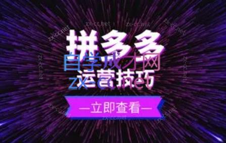 力辛电商·拼多多强付费店群玩法-云泽轻创网