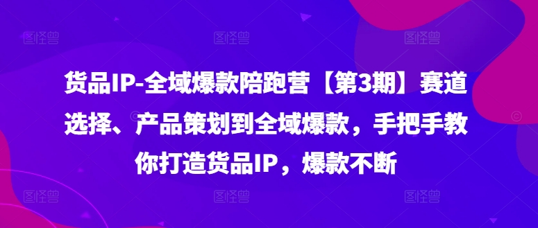 货品IP全域爆款陪跑营【第3期】赛道选择、产品策划到全域爆款，手把手教你打造货品IP，爆款不断-云泽轻创网