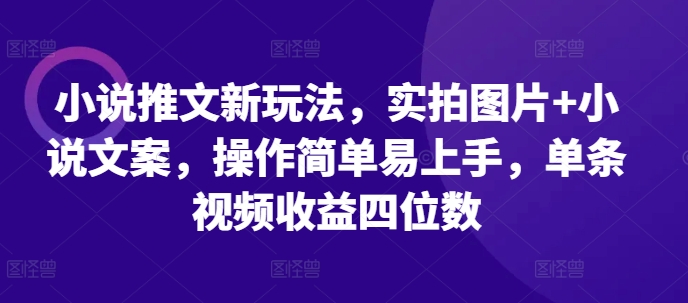 小说推文新玩法，实拍图片+小说文案，操作简单易上手，单条视频收益四位数-云泽轻创网