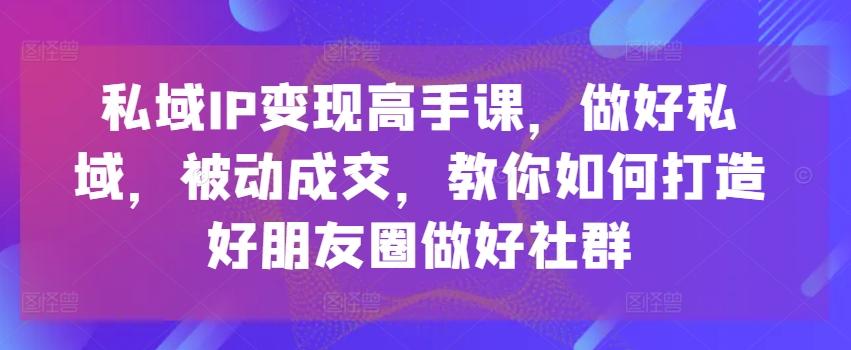私域IP变现高手课，做好私域，被动成交，教你如何打造好朋友圈做好社群-云泽轻创网