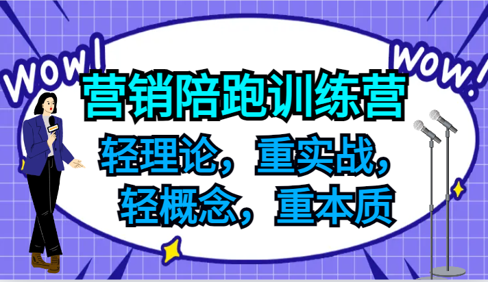 营销陪跑训练营，轻理论，重实战，轻概念，重本质，适合中小企业和初创企业的老板-云泽轻创网