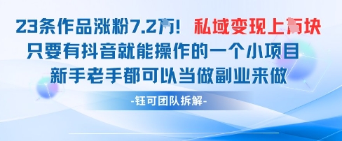抖音私域项目23条作品涨粉7.2W，私域变现1W-云泽轻创网