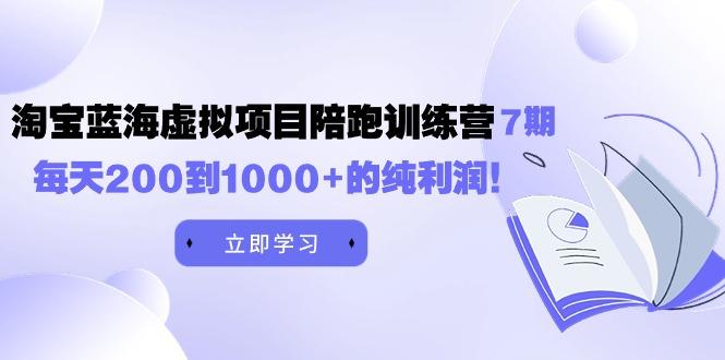(9541期)黄岛主《淘宝蓝海虚拟项目陪跑训练营7期》每天200到1000+的纯利润-云泽轻创网