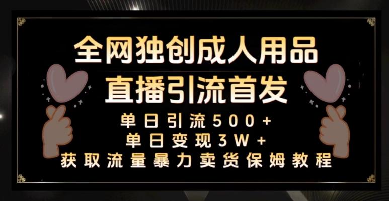 全网独创真人主播+无人直播单日引流500+，橙人用品暴力卖货单日变现3W+保姆似教学2.0【揭秘】-云泽轻创网