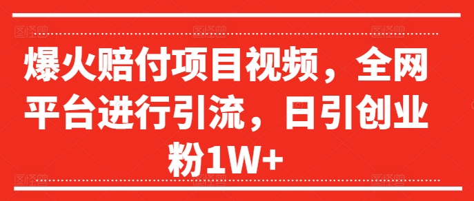 爆火赔付项目视频，全网平台进行引流，日引创业粉1W+【揭秘】-云泽轻创网