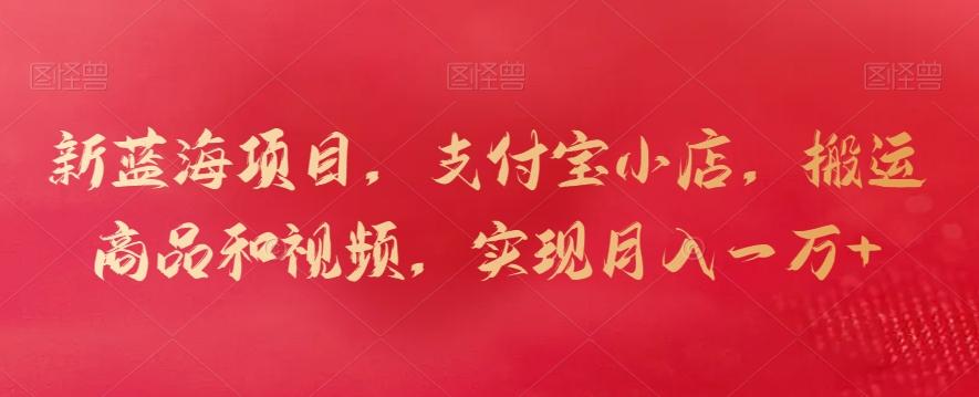 新蓝海项目，支付宝小店，搬运商品和视频，实现月入一万+【揭秘】-云泽轻创网