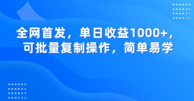 全网首发，单日收益1000+，可批量复制操作，简单易学【揭秘】-云泽轻创网