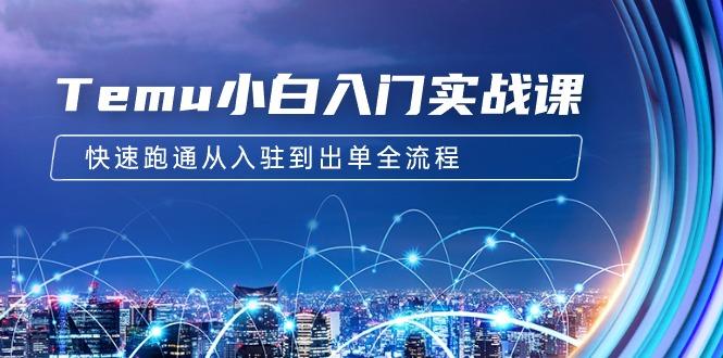 (9295期)Temu小白入门实战课：跨境拼多多电商培训 快速跑通从入驻到出单全流程-12节-云泽轻创网