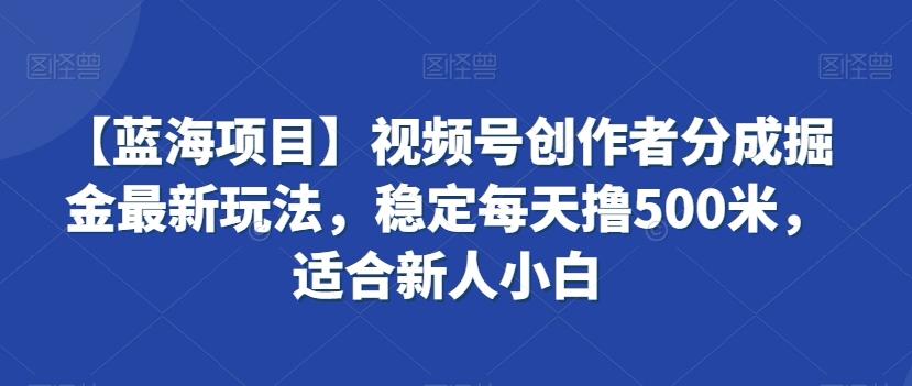 【蓝海项目】视频号创作者分成掘金最新玩法，稳定每天撸500米，适合新人小白【揭秘】-云泽轻创网