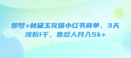 即梦+林黛玉完爆小红书商单，3天涨粉1千，靠怼人月入5k+-云泽轻创网