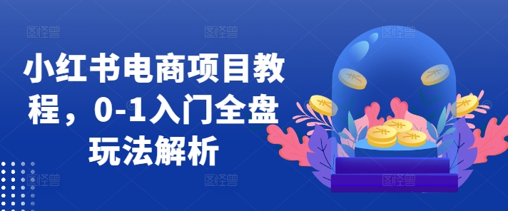 小红书电商项目教程，0-1入门全盘玩法解析-云泽轻创网