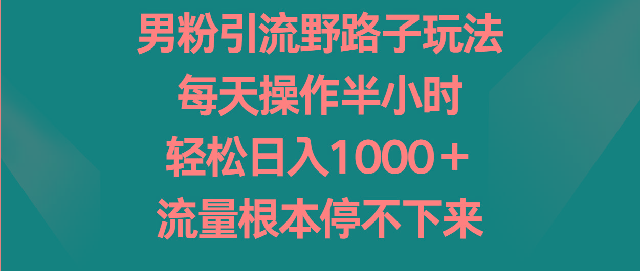 男粉引流野路子玩法,每天操作半小时轻松日入1000+,流量根本停不下来-云泽轻创网