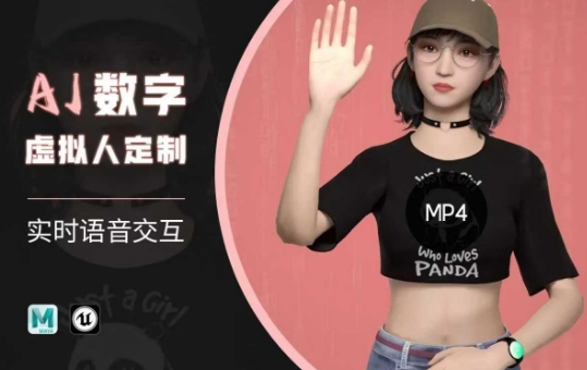 Ai数字人虚拟(智能体)实时语音交互特训营，​自行定制超写实角色AI数字人交互技术-云泽轻创网