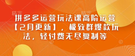 拼多多运营玩法课高阶运营【2月更新】，极致群爆款玩法，轻付费无尽复制等-云泽轻创网