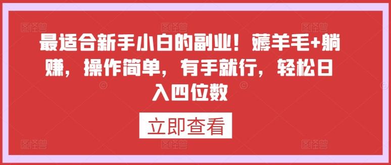 最适合新手小白的副业！薅羊毛+躺赚，操作简单，有手就行，轻松日入四位数【揭秘】-云泽轻创网
