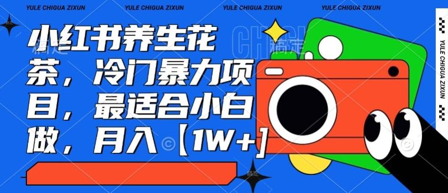 小红书养生花茶，冷门暴力项目，最适合小白做，月入【1W+】-云泽轻创网