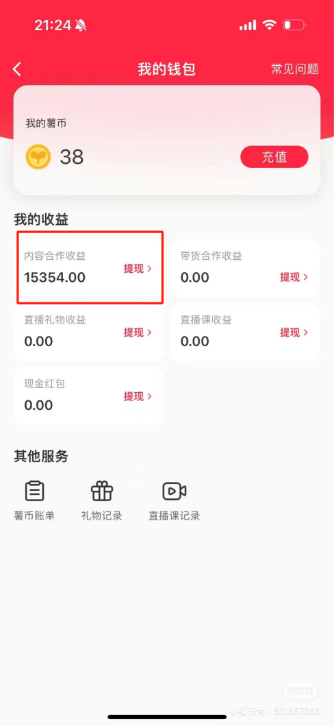 热门评论引爆小红书流量，作品制作简单，广告接到手软，月入过万不是梦-云泽轻创网
