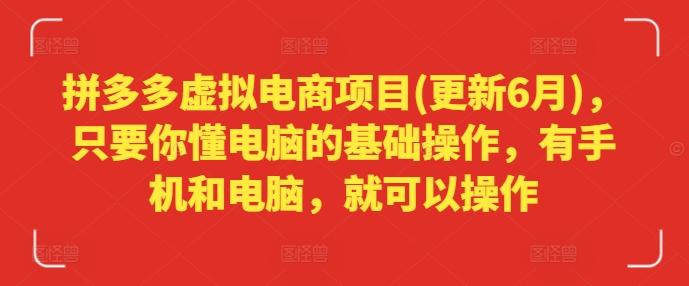 拼多多虚拟电商项目(更新6月)，只要你懂电脑的基础操作，有手机和电脑，就可以操作-云泽轻创网