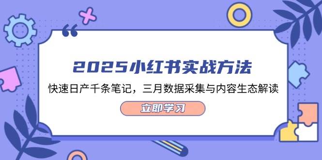 2025小红书实战方法,快速日产千条笔记,三月数据采集与内容生态解读-云泽轻创网