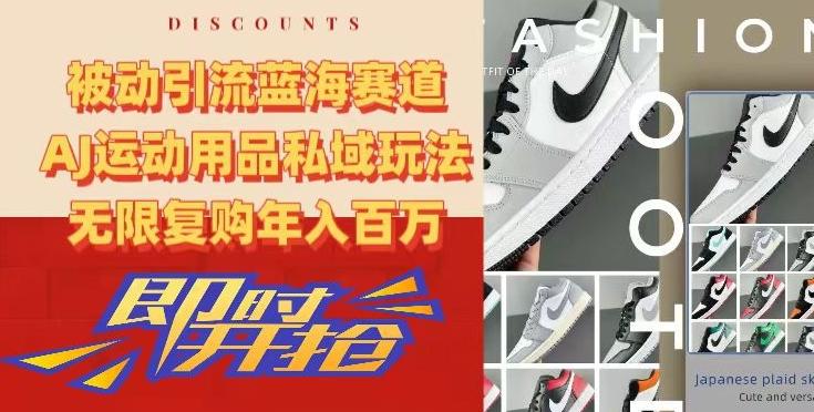 被动引流蓝海赛道，AJ运动用品私域玩法，无限复购年入百万【揭秘】-云泽轻创网